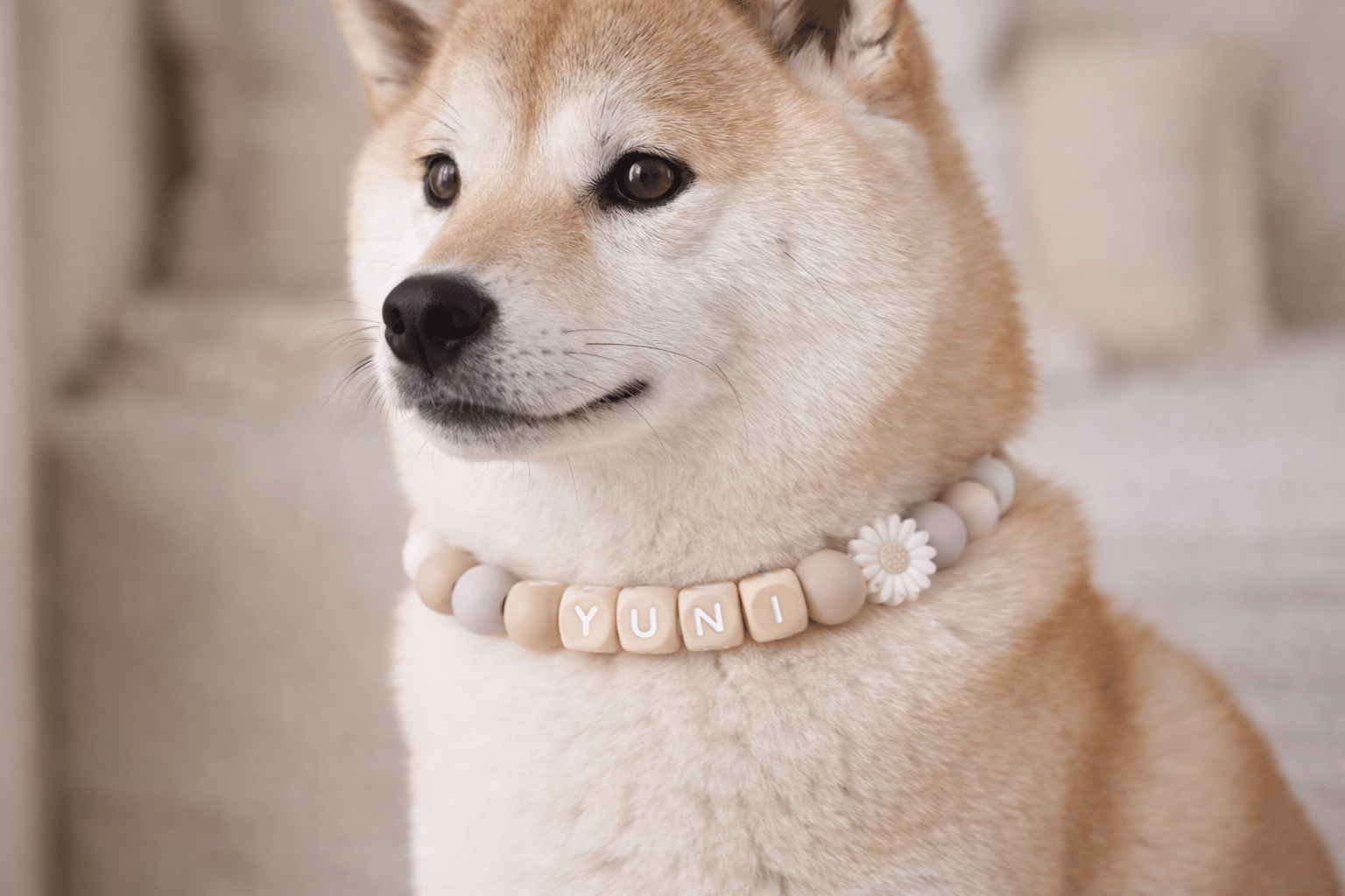 Hondenketting met naam anti teek lila - Afbeelding 2